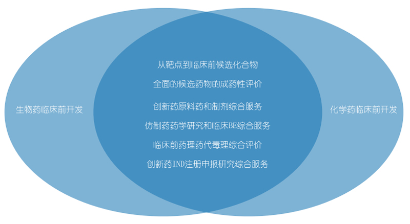 美迪西生物藥物研發(fā)和化學(xué)藥物研發(fā).jpg