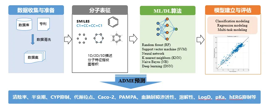 ADME預(yù)測.jpg