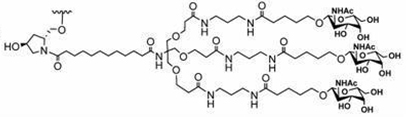 GalNAc的目標(biāo)是肝細(xì)胞上的ASGPR，可以通過內(nèi)吞作用被吸收-2.jpg