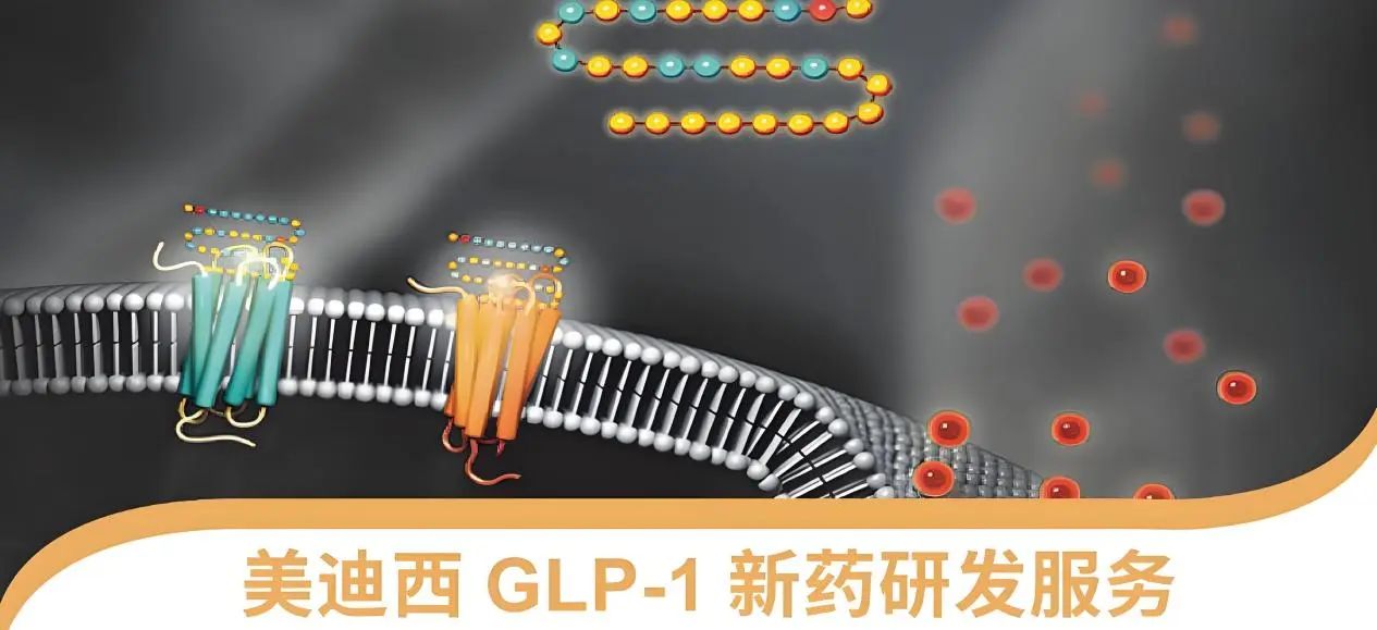 70.5%的成人正在悄悄長(zhǎng)胖！國(guó)家衛(wèi)健委“減肥令”下，GLP-1藥物如何突圍？